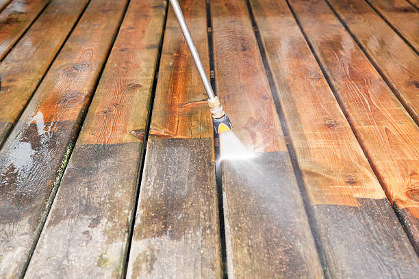 Best Animal Enclosure Cleaning  in Dryden, MI